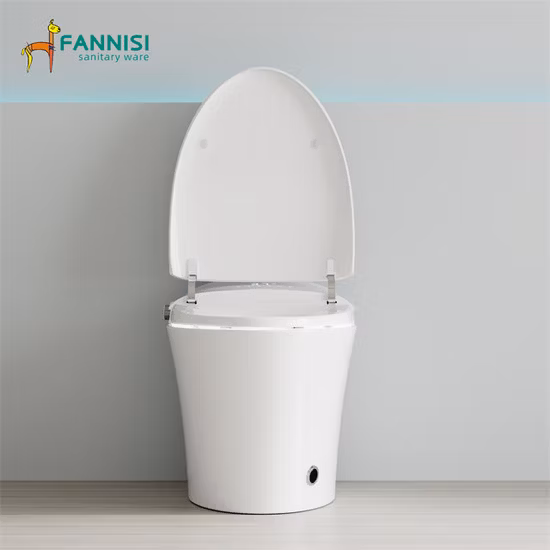 Moderne, intelligente Keramik-Badezimmer-Toilette mit wasserdichter Fernbedienung