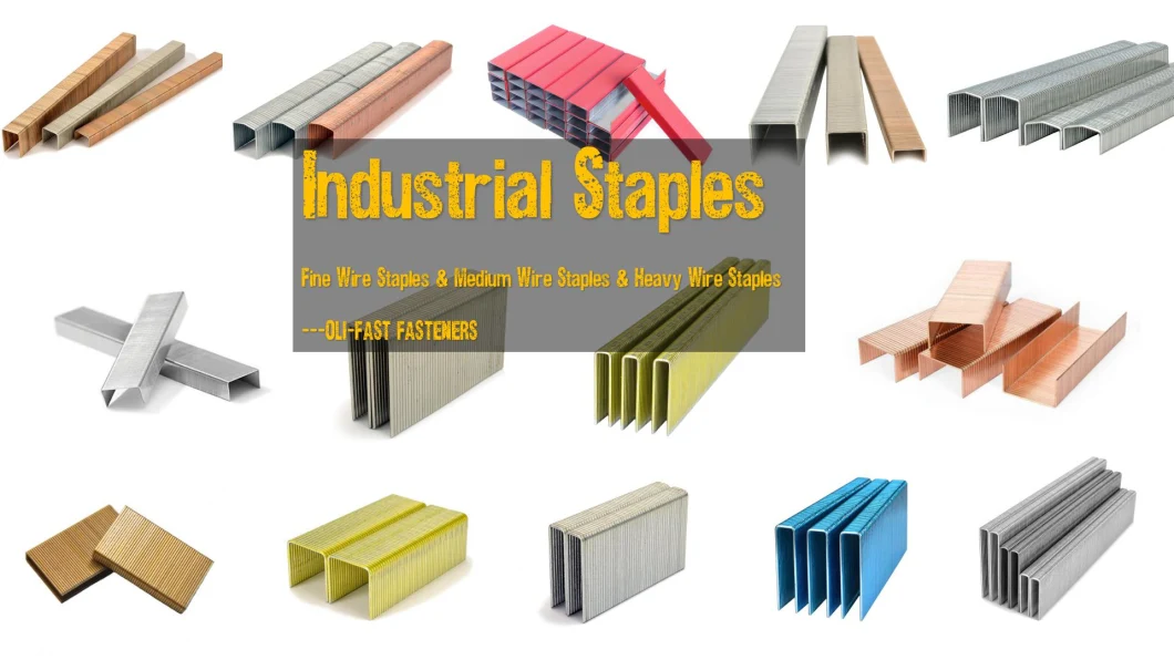 High Quality 16ga B7 Series Staples for Air Nailers, Factory Supply, for EU and North America Market