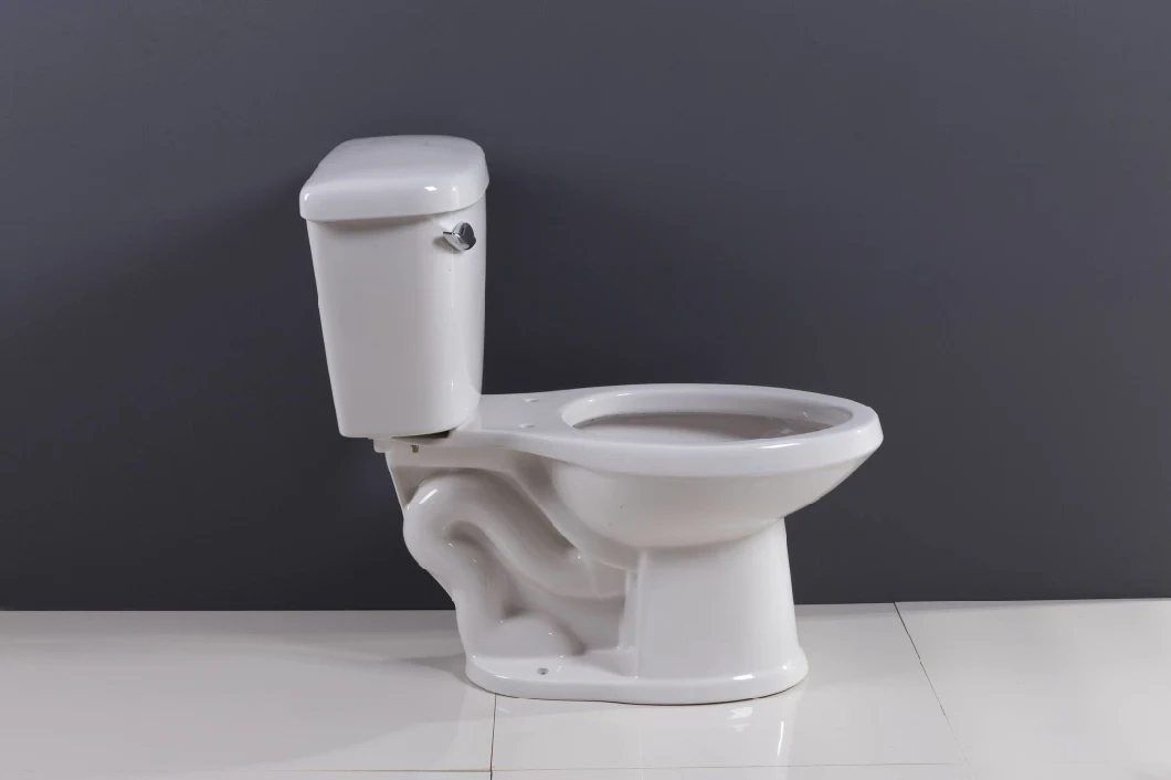 Sanitary Ware Bathroom Tank Siphon Wc Toilet Blanco Inodoro