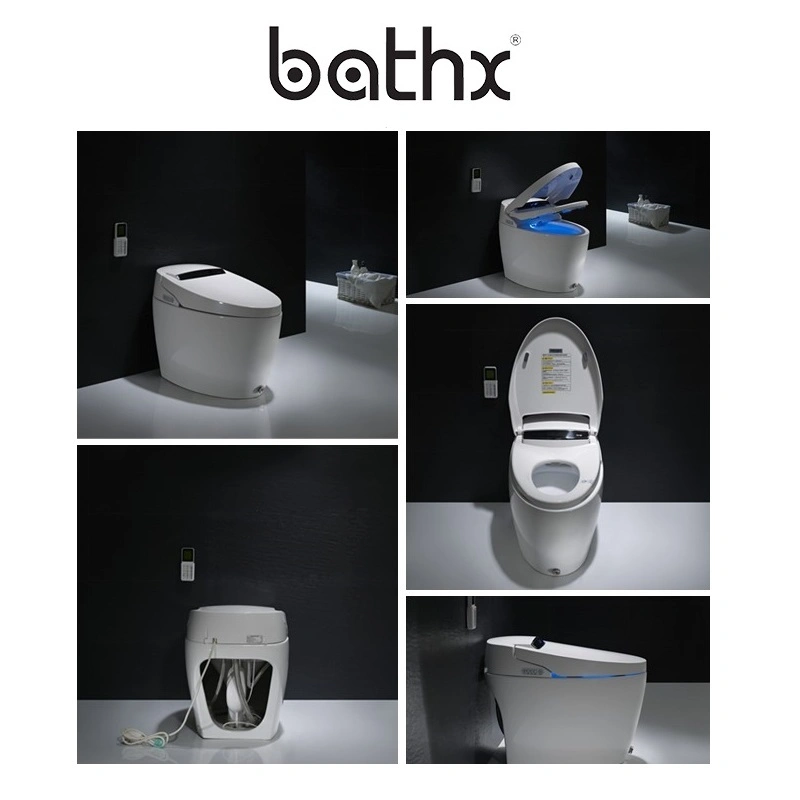 Elegant and Charming Design Intelligent Sanitary Ware Toilet (PLIT-005)