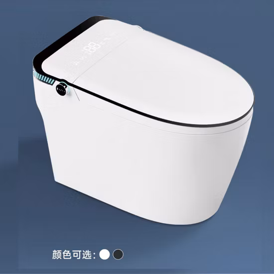 China Square Floor Stand Tankless Beliebte intelligente Toilette